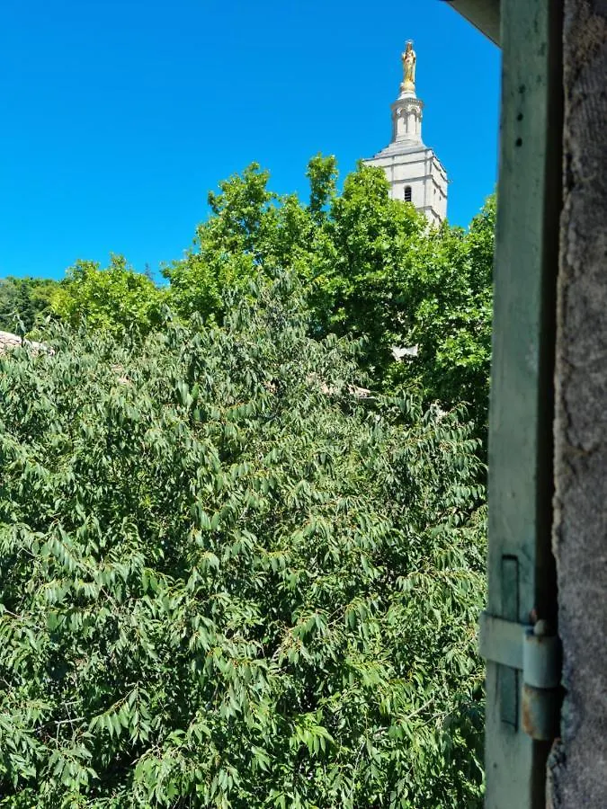 Apartament Un Nid Sur Les Toits Face Au Palais Des Papes Awinion 0*,  Francja