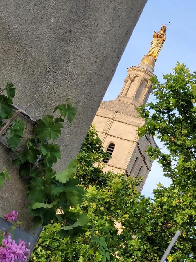 Apartament Un Nid Sur Les Toits Face Au Palais Des Papes Awinion