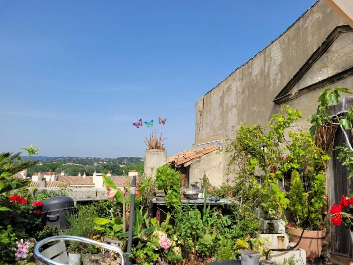 Apartament Un Nid Sur Les Toits Face Au Palais Des Papes Awinion