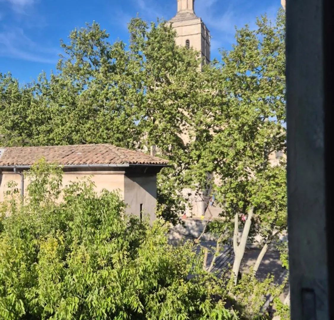 Apartament Un Nid Sur Les Toits Face Au Palais Des Papes Awinion
